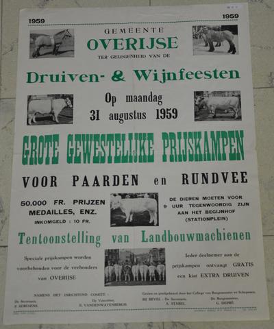 Original Digitaal object not accessible