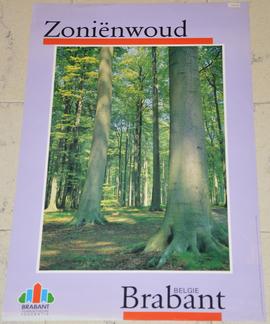 Zoniënwoud