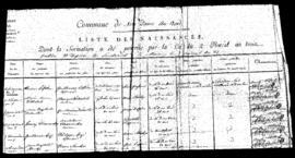 1795_1801_an_V_IX_Liste_de_naissances